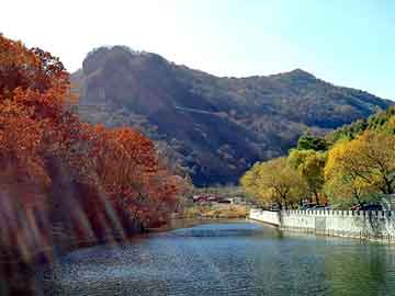 天天彩好彩天天免费，电磁板